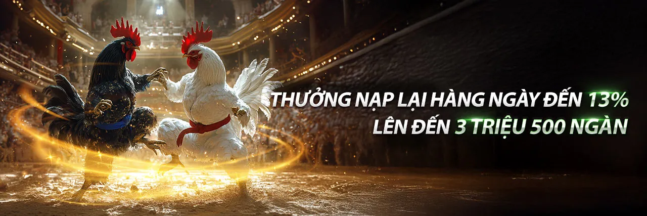 Hình ảnh đá gà trực tuyến tại KJC88